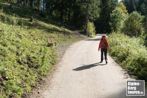 Eine Lichtung empor bis sich der Wanderweg mit der geteerten Oytalstraße verschmilzt