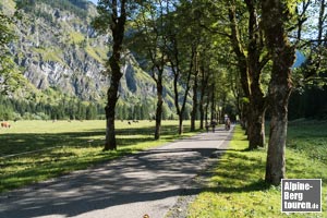 Im Fortgang erweist sich die Oytalstraße als traumhaft schöne Allee