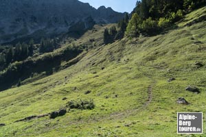 Hinter der Almhütte den Spuren zu der Baumparzelle nachlaufen