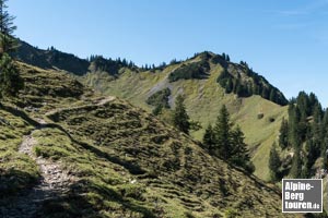 Hinter dem Almgebäude in einem Bogen dem Hahnenköpfle entgegen