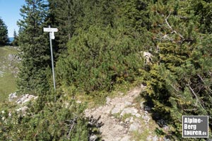 An der Scharte rechts dem Wegweiser zum Gipfel des Hahnenköpfle folgen