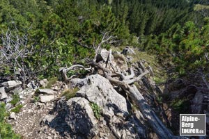 Rückblick in die Felspassage