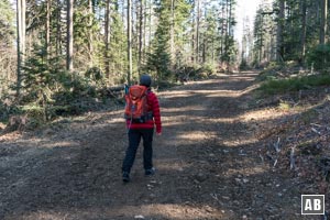 An der Infotafel links abbiegen und dem Forstweg bergwärts nachlaufen.