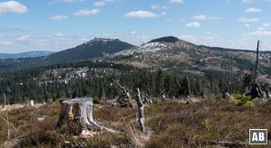 Wanderung Heugstatt Enzian: Die ungewöhnliche Perspektive auf den Kleinen und Großen Arber ist der effektvollste Blickfang.