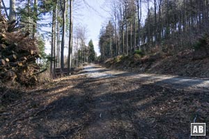 ...mündet unser Aufstieg in eine Forststraße - der wir bergwärts folgen.