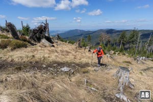 Wanderung Heugstatt Enzian: Der Geländerücken zum Heugstatt steilt sich auf.