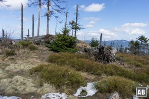 Unmittelbar vor der Heugstatt-Lichtung befindet sich auf der rechten Seite (im Aufstiegssinn) ein kleiner Felsen...