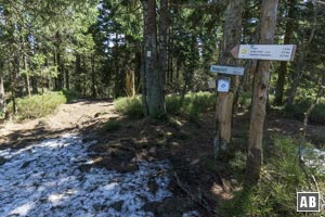 Am Ende der Heugstatt-Lichtung links abdrehen und im Wald abwärts.