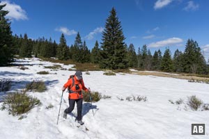 Hinweg über eine baumlose Fläche.