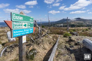 Am Gipfel des Enzian - mit dem Großen Arber als Blickfang