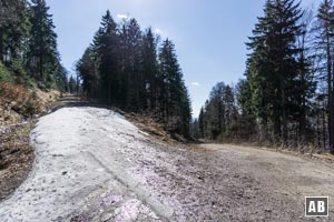 Nach einem kleinen Gegenanstieg und einer ausladenen Rechtskurve erreichen wir ein Wegkreuzung. Links abwärts (im Bild rechts) und auf dem Aufstiegsweg zurück nach Schareben.