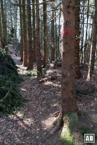 Ein dürftiger Pfad navigiert zu unserem ersten Ziel. Die farbigen Wegepunkte sind auf diesem Abschnitt alle paar Meter zu finden.