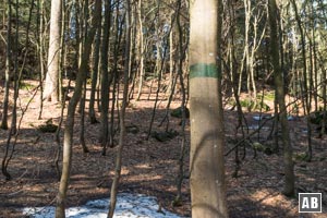 Wenig hinter dem Unterstand nähern wir uns weglos den linkerseits erwachsenden Felsen