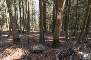 ...und folglich wieder am markierten Hauptwanderweg