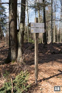 Im Weitern lassen wir uns von den vielen Abzweigungen nicht beirren - folgen der Beschilderung zum Hirschenstein