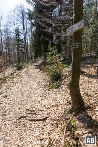 ...wenig Meter vor dem Forstweg fädeln wir rechtsseitig in den idyllischen Mühlgrabenweg ein