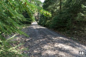 Der Weg mit der blauen 7 verbindet sich mit einer breiten Trasse,...