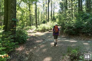 Geradeaus über einen querenden Forstweg hinweg