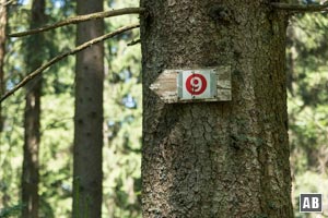 Nur die rote 9 zeigt an (ungünstig zur Laufrichtung) das wir hier richtig sind