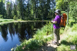 ...zum Grimmeisenweiher