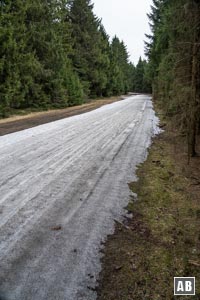 Die breite Trasse bis in den Wald nachlaufen