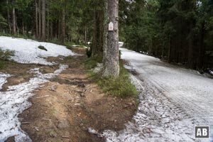 Im Weiteren tanigert unsere Wanderlinie wieder mit dem Forstweg, entfernt sich aber gleich wieder von diesem