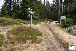 Mit einem von links einfallenden Wanderpfad geht es in einer gemeinsam Spur weiter