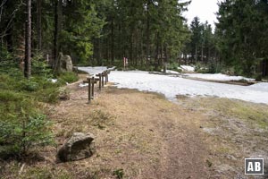 Wiederum kreuzt sich unsere Wanderspur mit der Forststraße