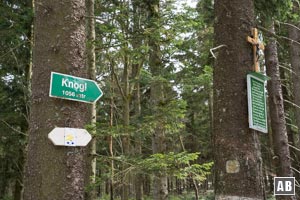 Unmittelbar auf der anderen Seite der Forstpromenade findet der Knogl-Aufstieg seinen Anschluss