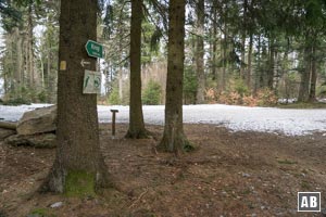 Und wieder schneidet sich unsere Wanderlinie mit der Forstwegtrasse