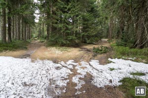 Die Verländerung zum Hochberg nimmt allerdings schon kurz vor Erreichen der Kudernhütte seinen Ursprung. Auf dieser Linie in Kürze in den unbeschilderten Karrenweg zur Rechten einfädeln.