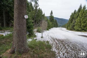 Die links Piste abwärts...