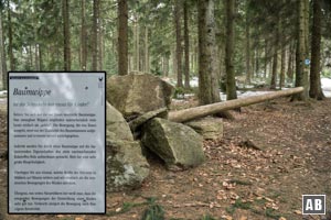 An diesem Punkt findet sich die Baumwippe. Experiment zum testen der Holzbiegsamkeit ausdrücklich erwünscht.