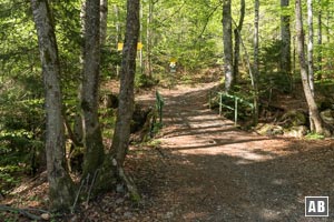 Kurz nach der Waldgrenze...