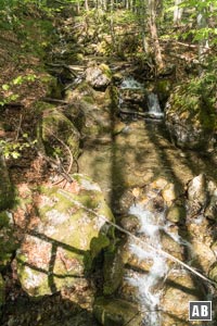 ...wird der Wasserlauf des Fennergrabens überquert