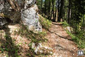 Typischer Weg hinauf zum Leonhardsteinsattel: wenig steil und gut angelegt