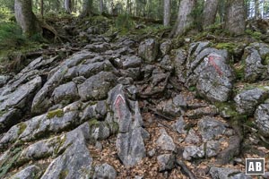 Typisches Steilschrofengelände im Aufstieg