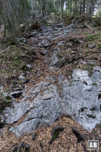 Impressionen aus dem Gipfelsteig