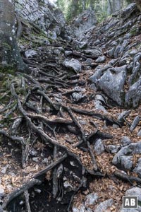 Impressionen aus dem Gipfelsteig