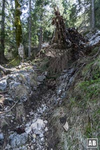 Impressionen aus dem Gipfelsteig