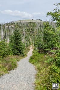 Der schnurgerade Weg zur Himmelsleiter