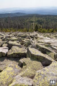 Blick vom Gipfel zurück auf unseren Aufstiegsweg