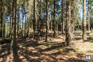 Im Verlauf zeigen sich links des Wanderweges einige Felsen - in einigen Karten als Aussichtspunkt gekennzeichnet