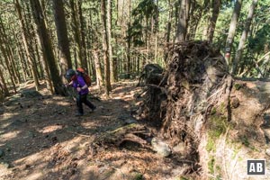 Der finale Aufstieg zum Ödriegel ist erheblich steiler als der bisherige Weg