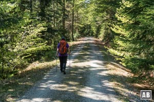 Komfortabel und ohne großen Höhenunterschied zurück in Richtung Ecker Sattel