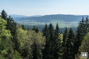 ...hat aber einen hübschen Blick ins Zellertal