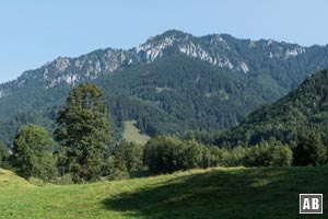 Blick zurück über unsere Schultern: Der Laber macht bereits aus dieser Position eine gute Figur