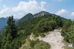 Am Gipfel des Ziegelspitz bekommen wir instruktiven Einblick in den weiteren Verlauf zur Notkarspitze