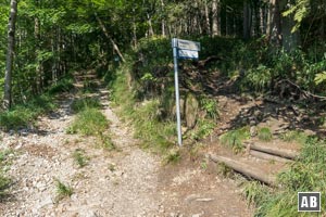 Und sogleich scheren wir rechtsseitig in den entspringenden Bergsteig ein - der Beginn des Notkarspitz-Ostgrates