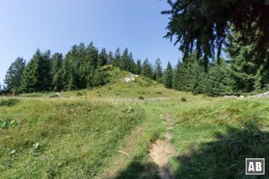 Erst nach 600 Höhenmeter zähmt sich das Gelände - an einer kleinen idyllischen Lichtung